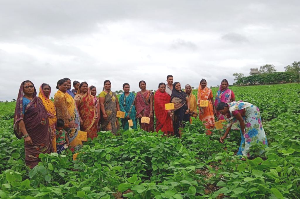 Cooperatives to Create 56 Million Self-Employment Opportunities in India by 2030: Primus Partners
